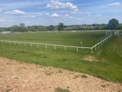 An image of Ajax Park uploaded by rampage