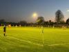 Alfredian Park
