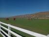 Arranmore Ground