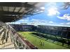 Audi Field