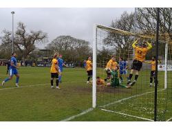 Bashley Road
