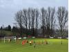 Beechwood Park (Sauchie)