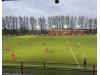 Beechwood Park (Sauchie)