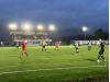 Beechwood Park (Sauchie)