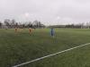 Bloomfields 3G