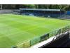Bower Fold
