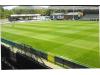 Bower Fold