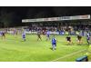 Bower Fold