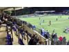 Bower Fold