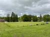 Cae Llwyn