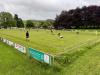 Cae Llwyn