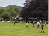 Cae Llwyn