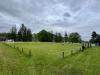Cae Llwyn