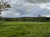 Cae Morfa