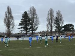 Crown Meadow