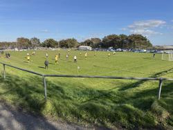 An image of Enys Park uploaded by francis0262