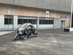 An image of Estadio do Bessa uploaded by joneverett