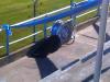 Estadio Ramon Roque Martin