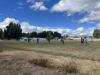 Estadio Teofilo Knell