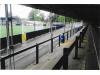 Ewen Fields
