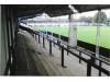 Ewen Fields