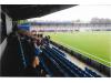 Ewen Fields