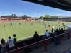 Ewen Fields