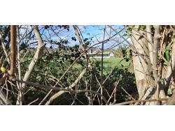 An image of Maes y Dre Recreation Ground uploaded by slothnoir