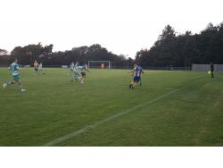 Fawcetts Field