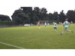 Fawcetts Field