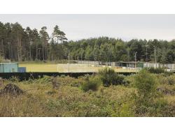 An image of Forest Park uploaded by dellsco