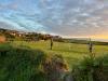 Forrabury Park