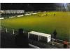 Garden Walk Stadium