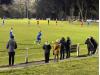 Ginsters Marshfield Parc