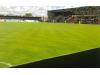 Globe Arena