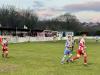 Halkyn Road