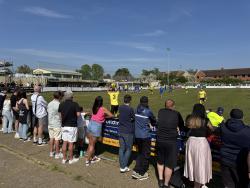 An image of Hawthorns uploaded by francis0262