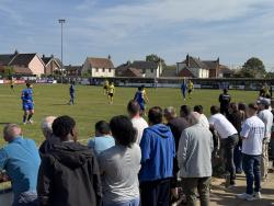 An image of Hawthorns uploaded by francis0262