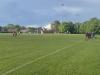 Hillfield Playing Fields