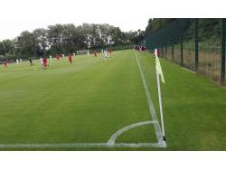 Leckwith SIS Pitch