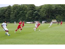 Leckwith SIS Pitch