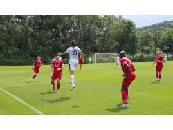 Leckwith SIS Pitch