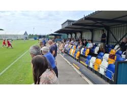 Leckwith SIS Pitch