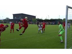Leckwith SIS Pitch