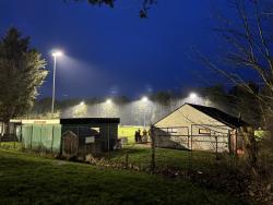Lords Meadow