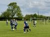 Lovells Park