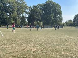 Mansel Park