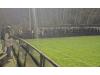 McMullen Park