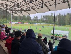 Mehtimaki tekonurmi
