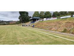 Mount Field